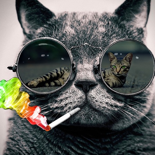 Deep/Tech House Mix 2