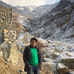 saleh ansari