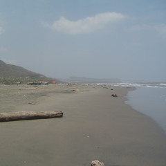 Beach Therapy
