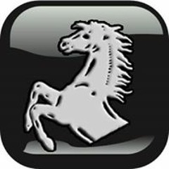 StallionzSports Goods