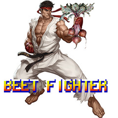 Beet Fighter