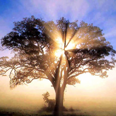 Dawn Benson