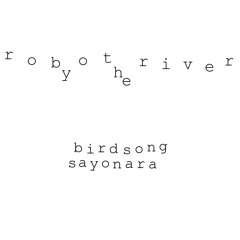 robotbytheriver