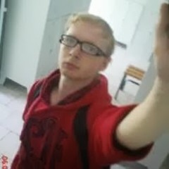 Alexander Steinberg 3