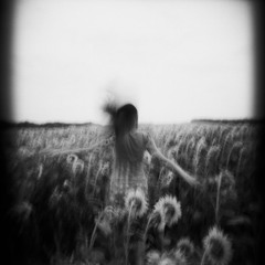 Searching For Survivors