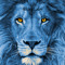 BlueeLion