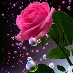 Hadeer Adel 31