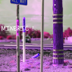 Mineric