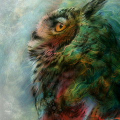 senaaral