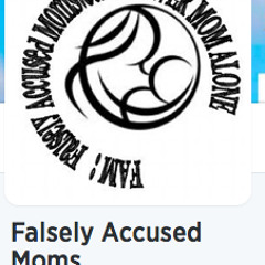 Falsely Accused Moms