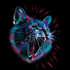 Jive_Katz_Collective