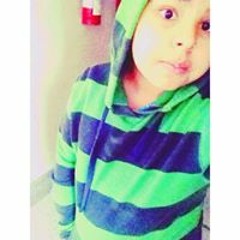 vini