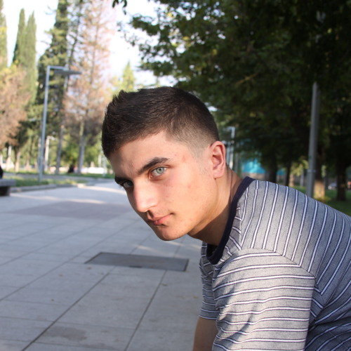 Giorgi Mkrtichiani’s avatar