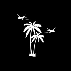 PlanesAndPalmTrees