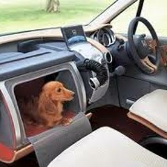 The CRUELTY Productions