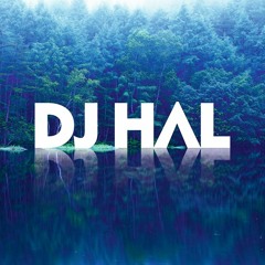 DJ HΛL