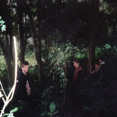 COBWEBBS