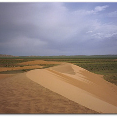 Josh lurid - The Pretender