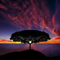 MerandaX