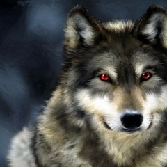 moscow_wolf19