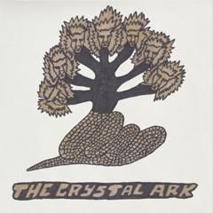 The Crystal Ark