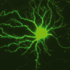 Associatedcyberphobia