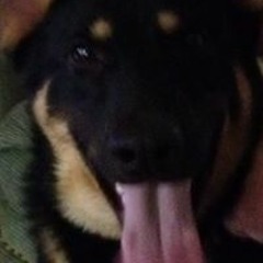 Linda Mason Armstrong