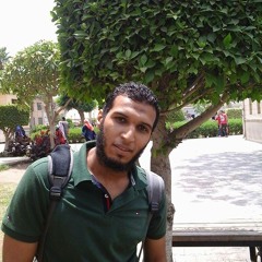 mostafa_ 13