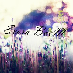 Exora BooM