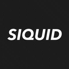 Laidback Luke & Tujamo Vs. Yellow Claw & Ayden -  S.A.X Till It Hurts (Siquid Mashup)