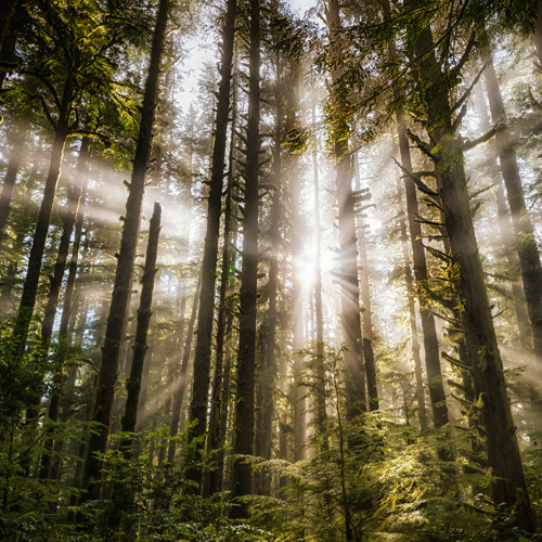 Adam Fielding Are You With Me(Space Remix)