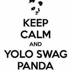 Austin Hollingsworth 1