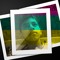 user646087602