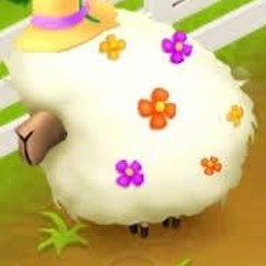 Päivi Hämäläinen