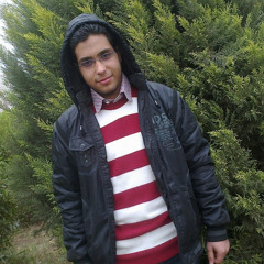 HESHAM BAKIR