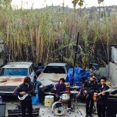 The Violet Mindfield