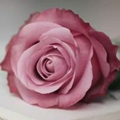 ترنيمي