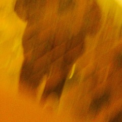 RealLife&Hallucinations