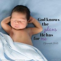 Cassie Frances Koroibola