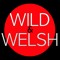 WILD&WELSH Reposts