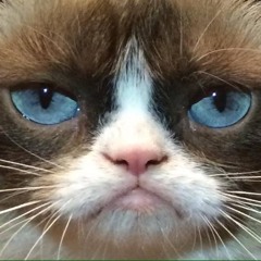 Jan Alfred Casinsinan