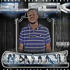 Black Gemini 330