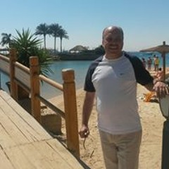 محمود الليثي