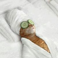 Mary Beth Eastwood 1