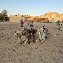 Ahmed Said 489