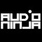 audio_ninja_2013