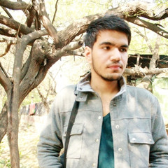 Namit Sirohi