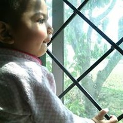 playlisty