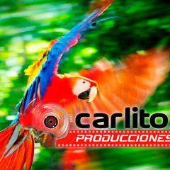 CARLITOS PRODUCCIONES HD® 2016