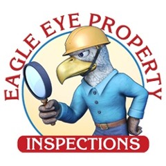 Eagle Eye Inspector